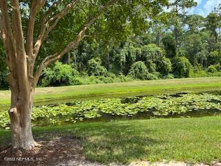 Building Photo - 748 Ginger Mill Dr