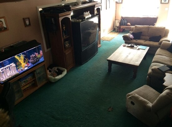 Foto del edificio - 328-342 Davis Ave