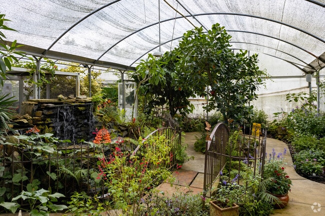 Swing by the Butterfly Garden at Lukas Nursery in Oviedo.