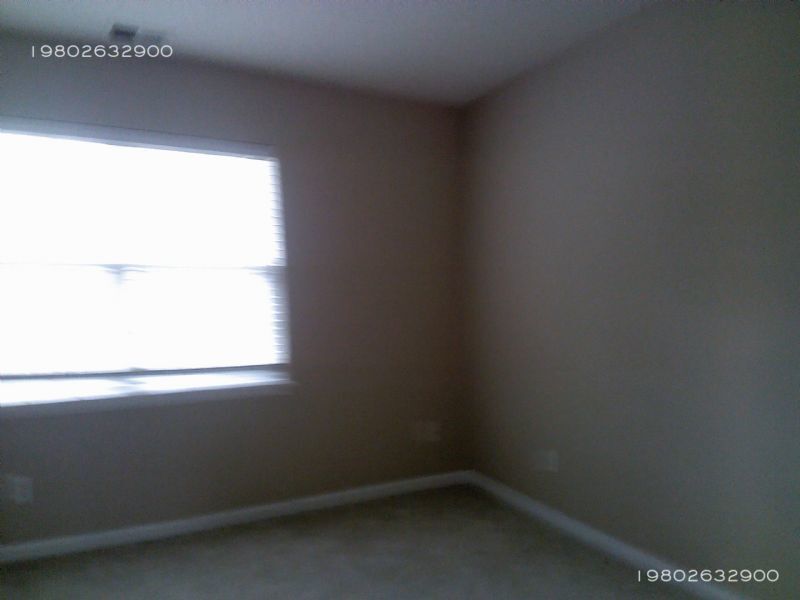 Building Photo - 4122 Birch Leaf Ct