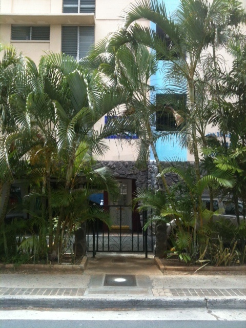 Waikiki Whale Watcher Apts. - 232 Kaiulani Ave