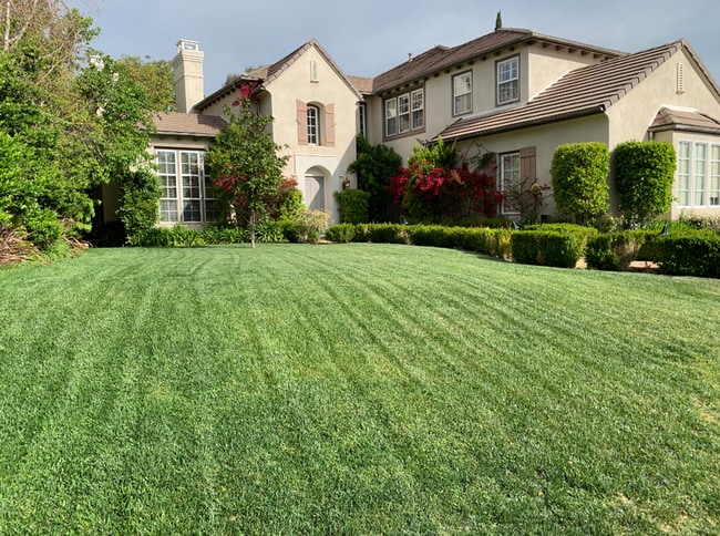 Building Photo - Spectacular Mont Calabasas 5 bed, 5.5 bath Estate