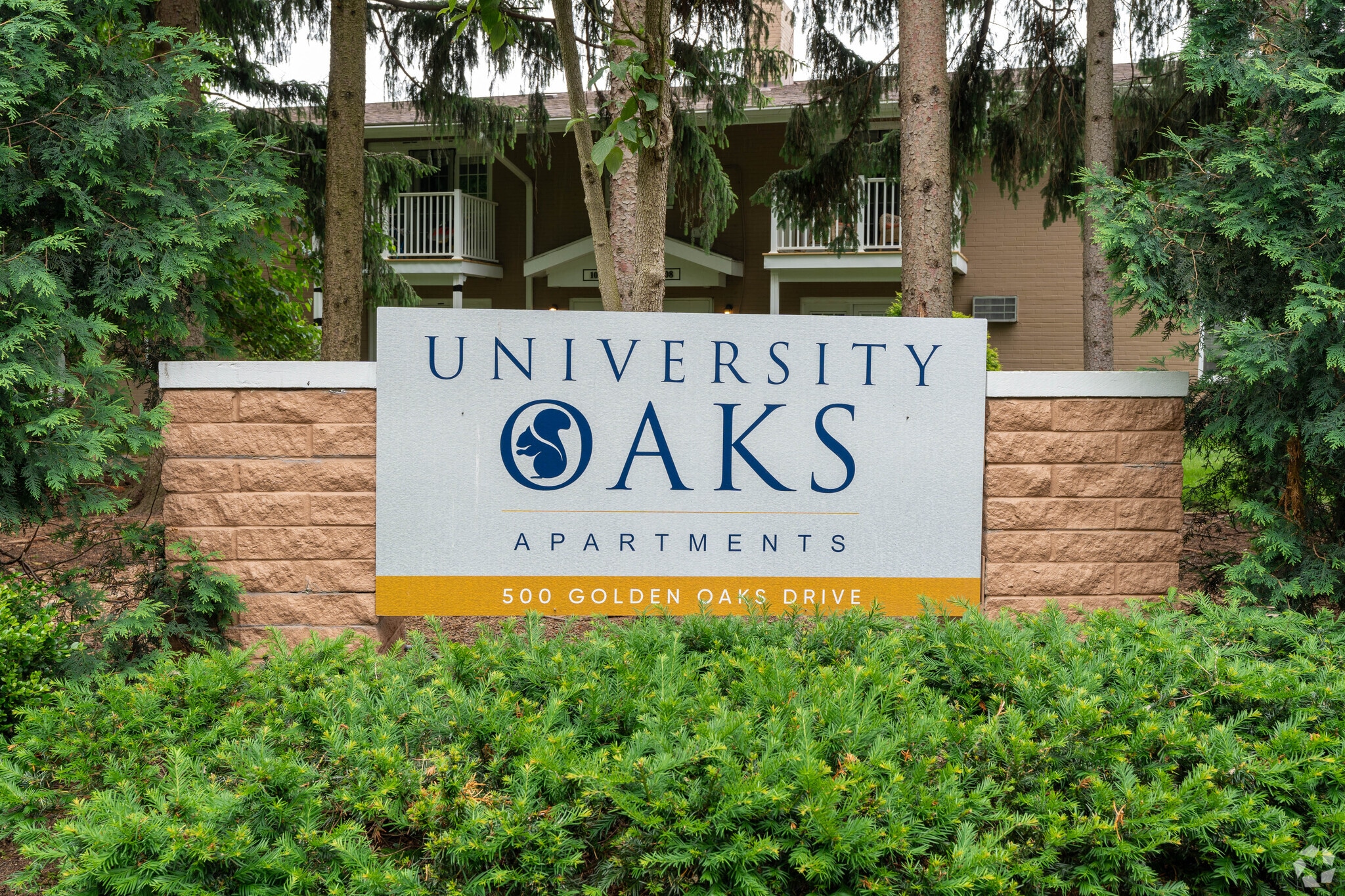University Oaks – photo 2