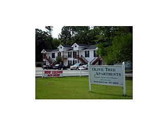 Primary Photo - Olive Tree Apartments