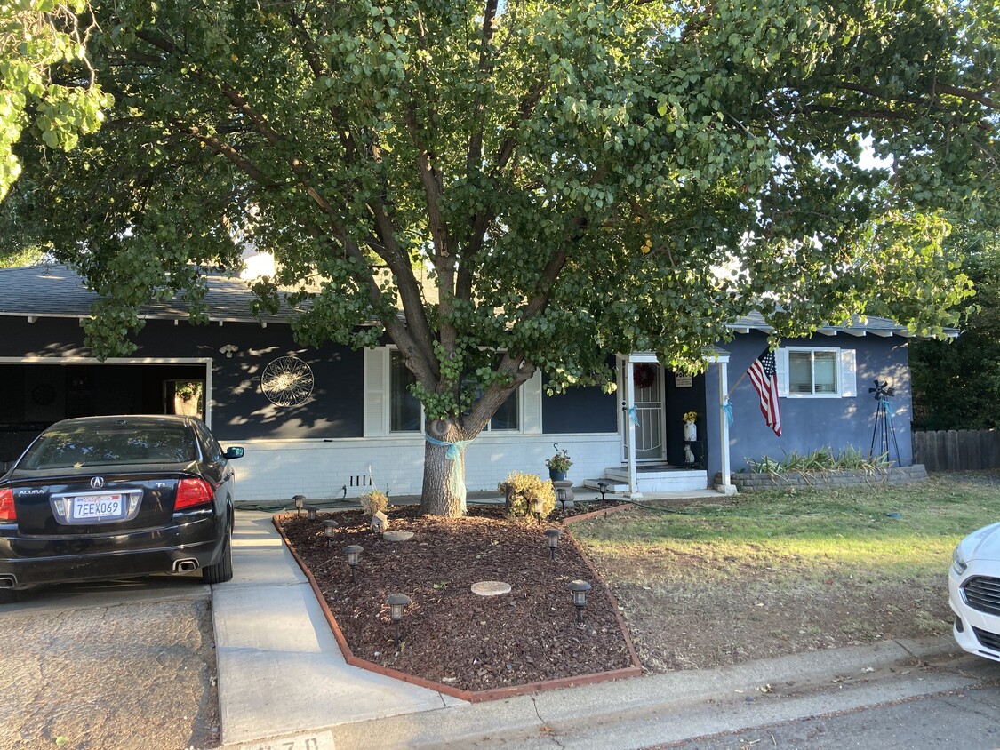 Primary Photo - 970 Lupin Ave