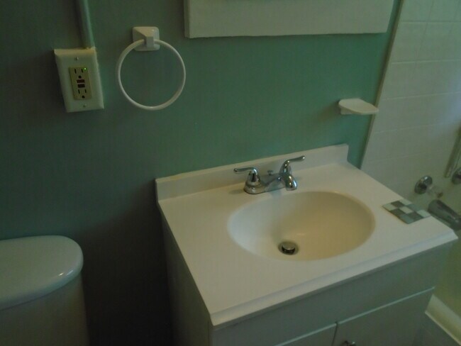 lavabo del baño - 100 N. 33rd St., Apt 3