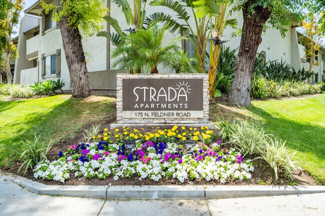 Building Photo - Strada Apartments