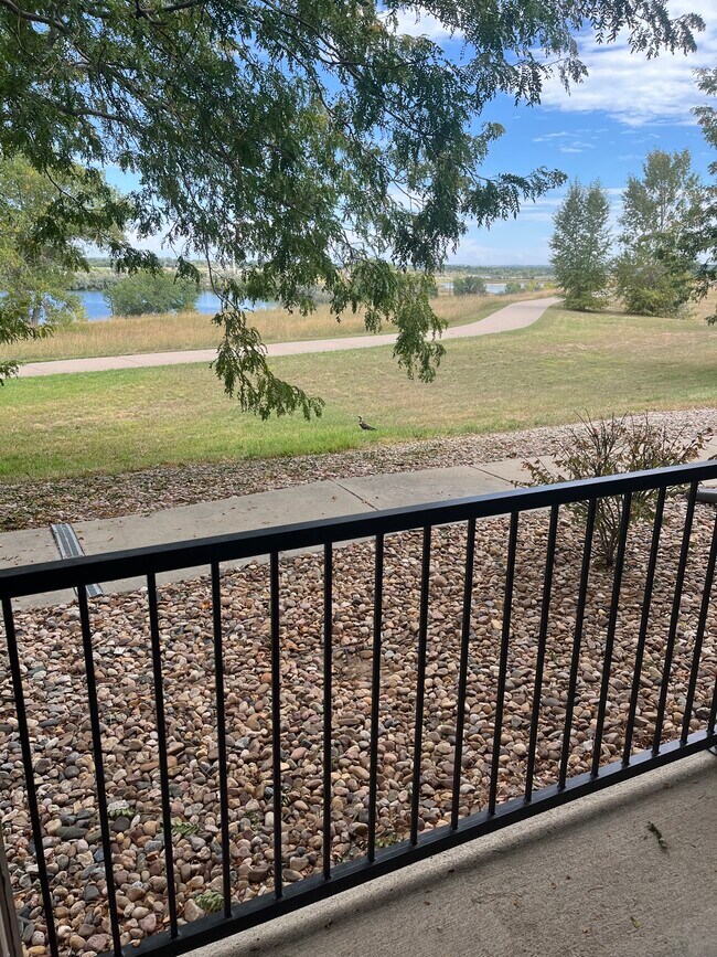 View and walking path - 5002 Northern Lights Dr