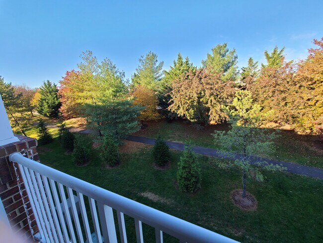 Building Photo - 21026 Timber Ridge Terrace