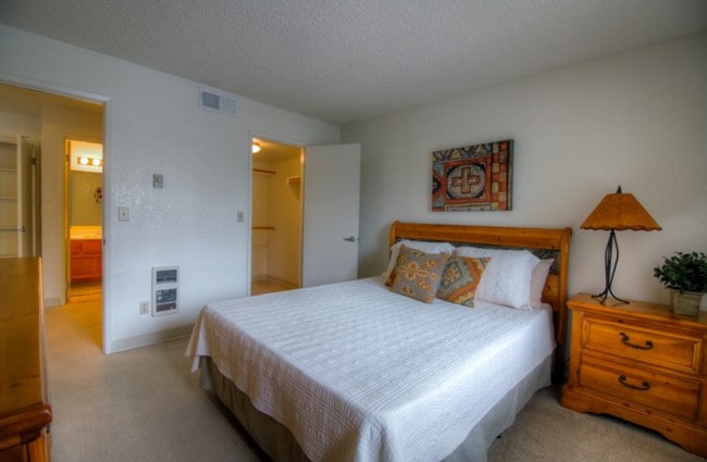 1 Bed 1 Bath Bedroom - Mountain View Villa Apartments
