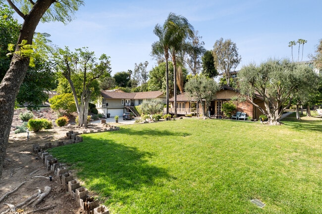 Patio delantero con hermoso césped y dos olivos espectaculares - 1557 E Puente St