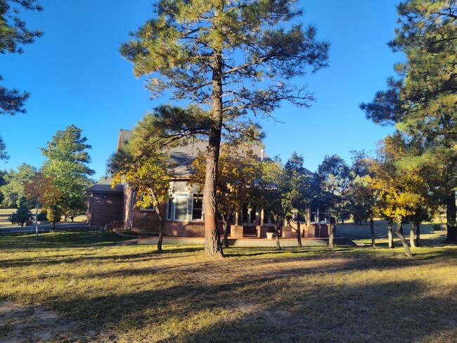 Foto del edificio - Stunning Executive Home in Timber Ridge!