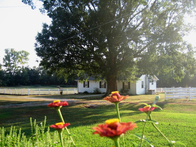 1116 Martintown Rd, New Albany, MS 38652 House Rental in New Albany