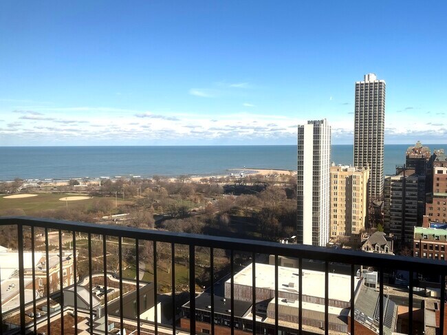 Foto del edificio - 1560 N Sandburg Terrace