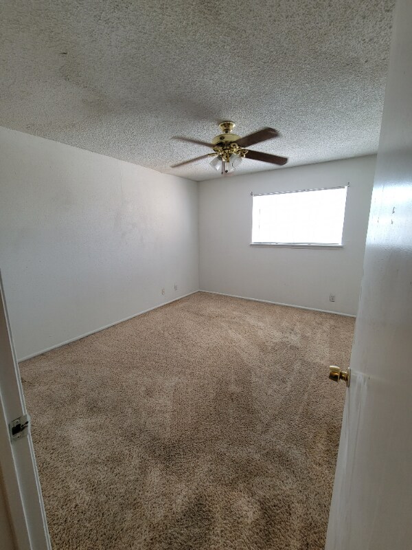 Foto del edificio - 203 Sprucewood Ln