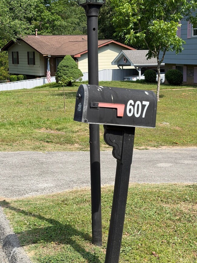 Foto del edificio - 607 Mountain Wood Dr