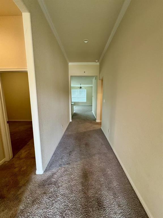 Building Photo - 30111 Twisting Springs Dr