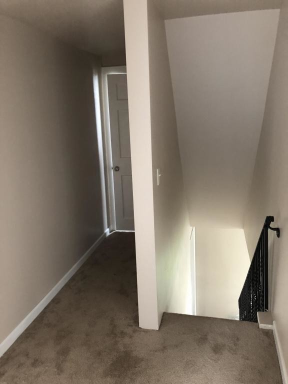 Photo - 729 Euclid Ave House