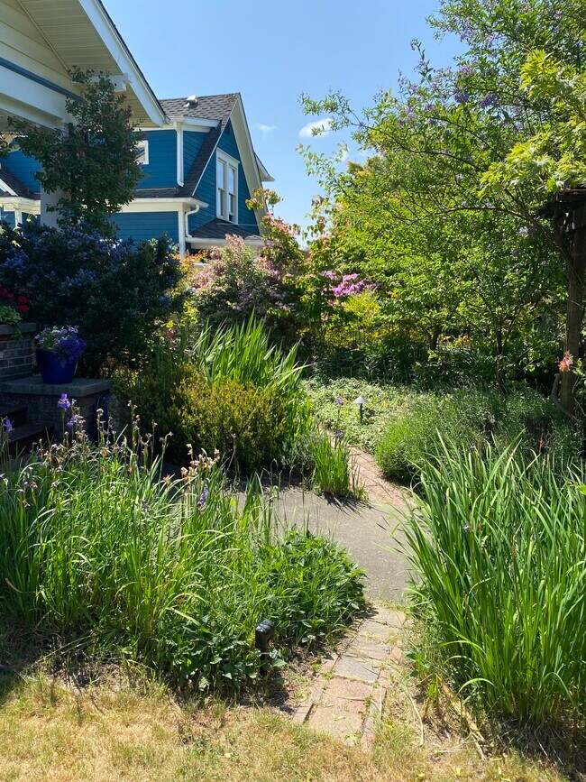 Camino al apartamento - 6316 30th Ave NW