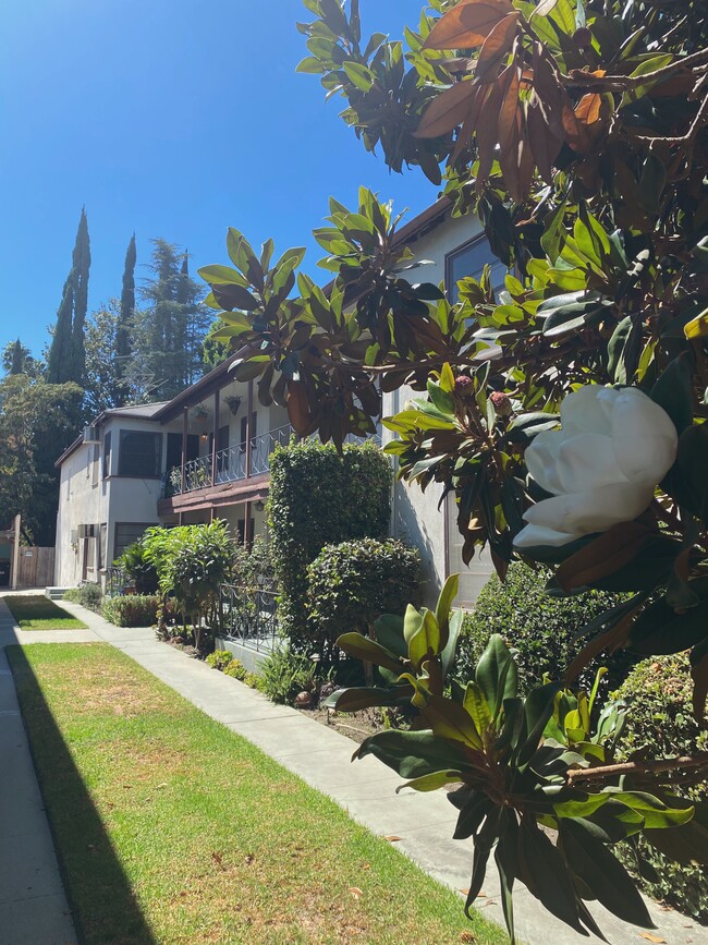 Apartment building and courtyard - 12230 W Magnolia Blvd