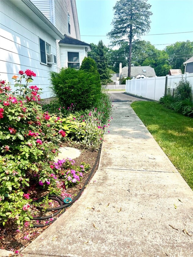 Primary Photo - 244 Crombie St