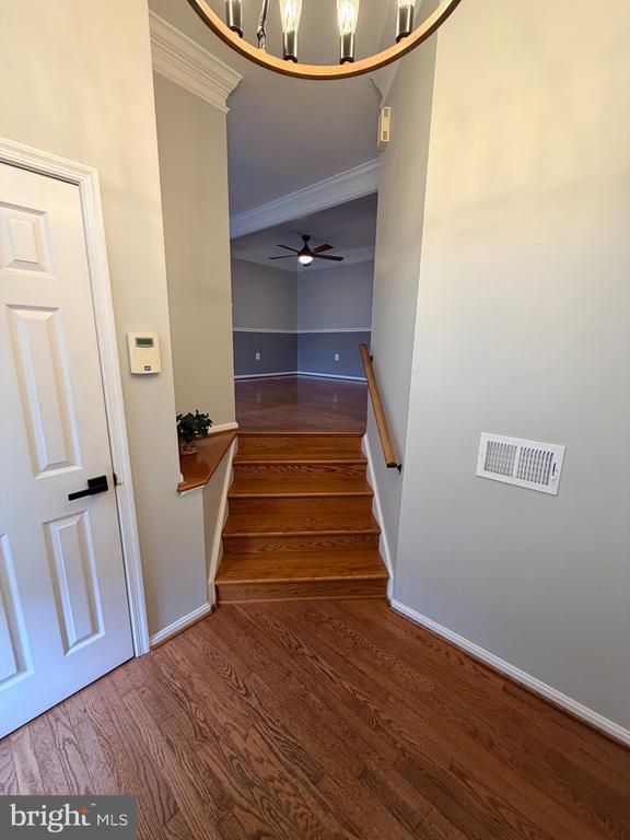 Foto del edificio - 46754 Woodmint Terrace