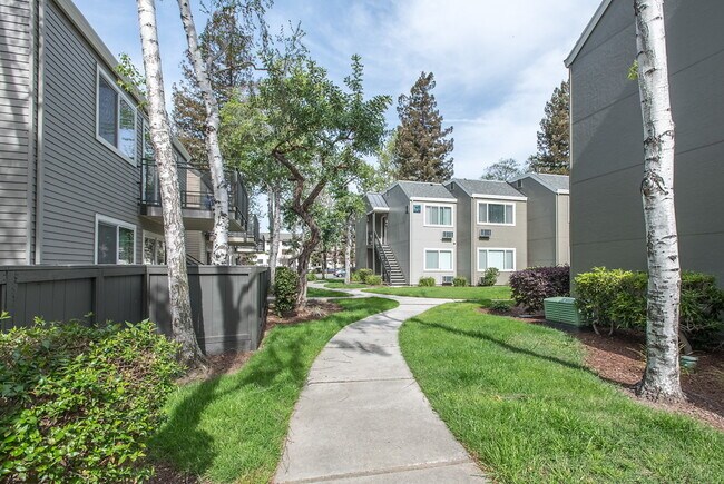 boulevard apartments fremont ca apartments com