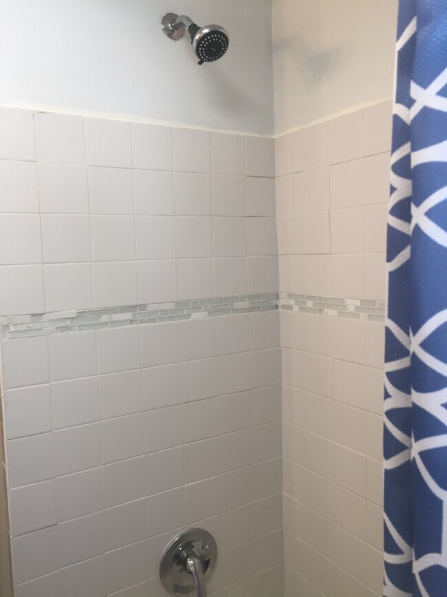 Baño en 517 Vine St. - 519 Vine St