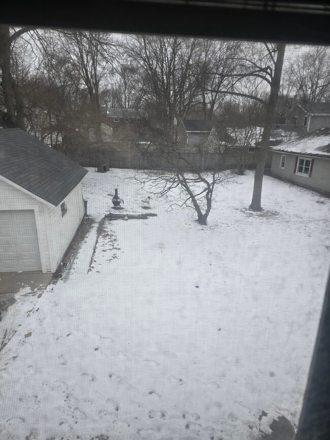 Back Yard - 515 Houston St