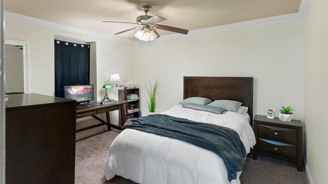 Building Photo - 1 Bedroom condo located in the Garden District- Next to City Park