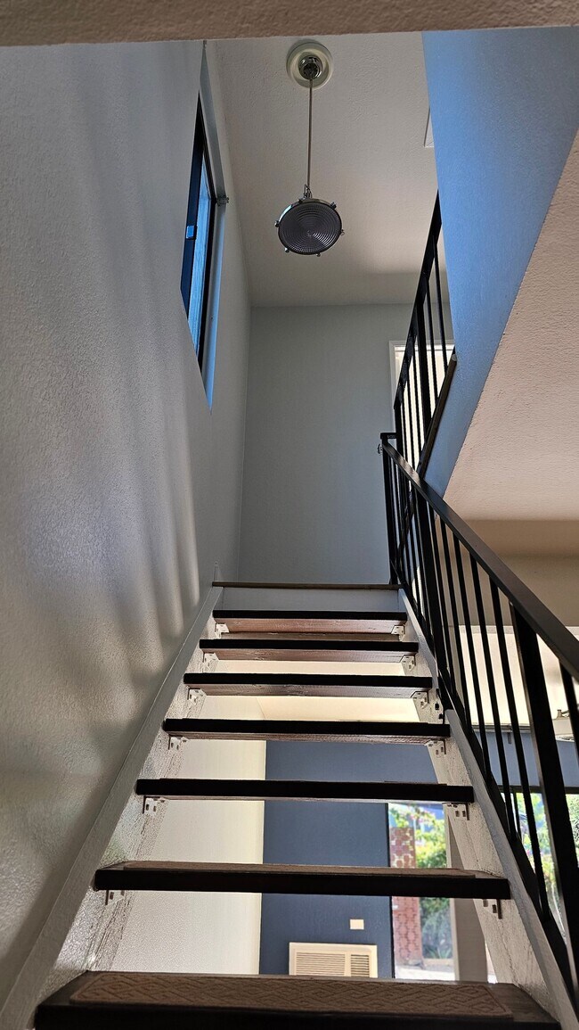 Foto del edificio - 33903 Copper Lantern St