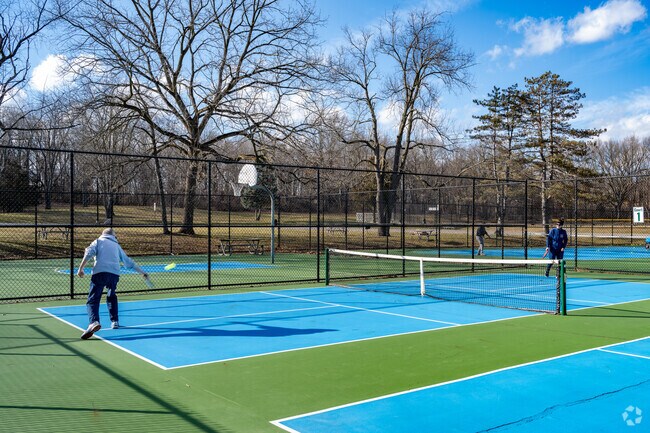 Play pickleball at Gilbert Willis Park in Wixom.
