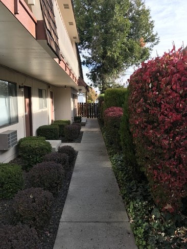 Building Photo - 409 S 10th Ave