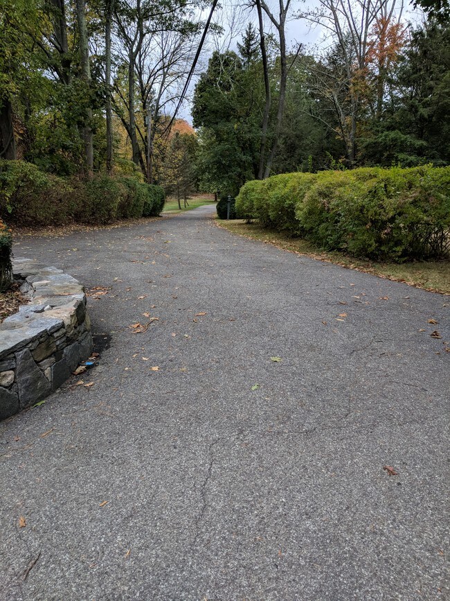 Long driveway off Newfiled - 1870 Newfield Ave