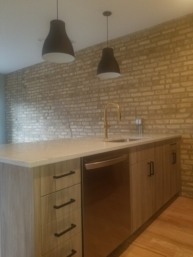 2537 N Campbell Ave Unit 2N, Chicago, IL 60647 Condo for Rent in