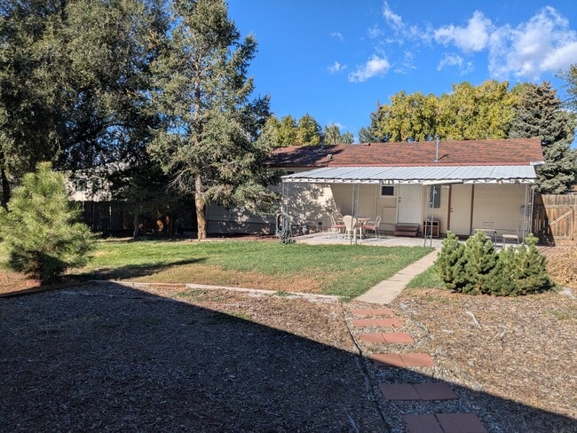 Backyard - 3717 Indianpipe Cir