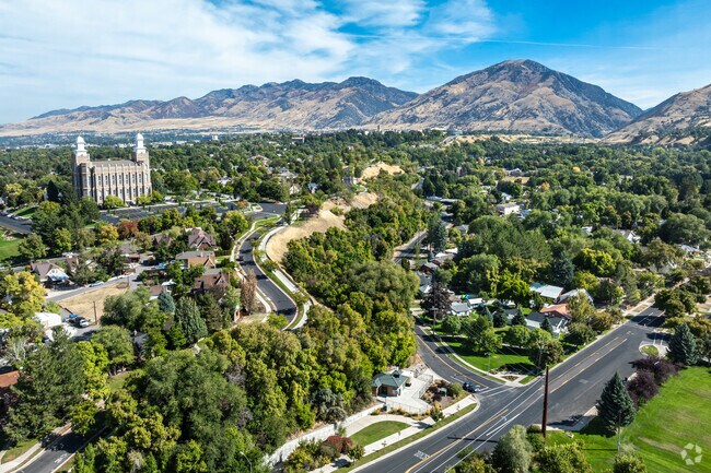 Wilson is a picturesque neighborhood with plenty of mature trees.