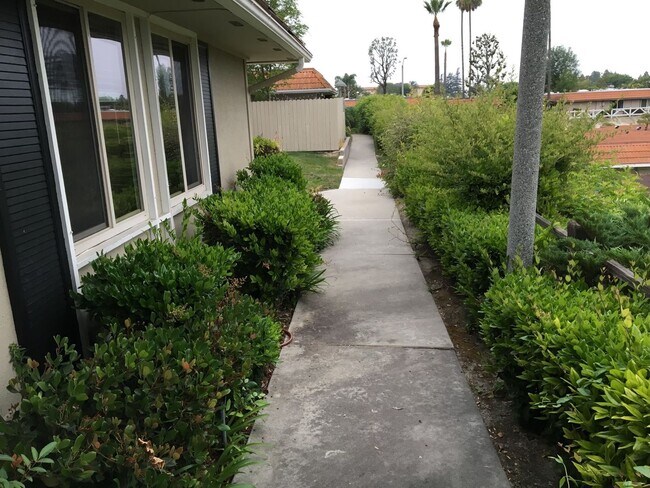 Foto del edificio - End Unit 3 Bed 2 Bath with a View