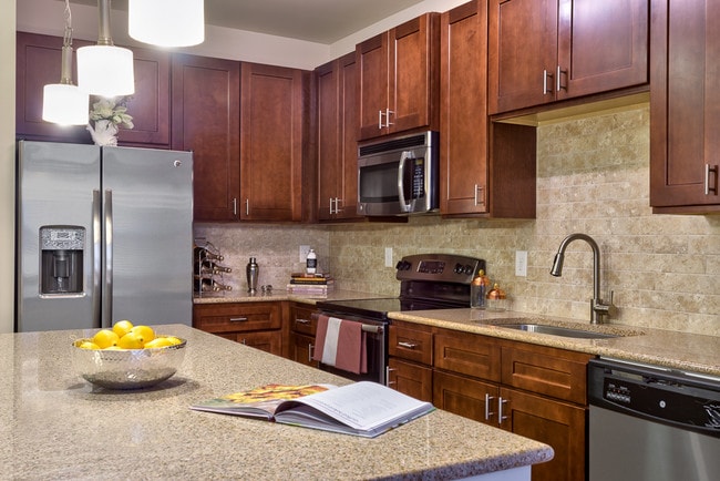 Gourmet kitchens - Village District