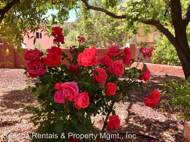 Building Photo - 3 br, 2 bath House - 335 Montazona Trail