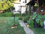 Primary Photo - 485 Wyandotte Ave