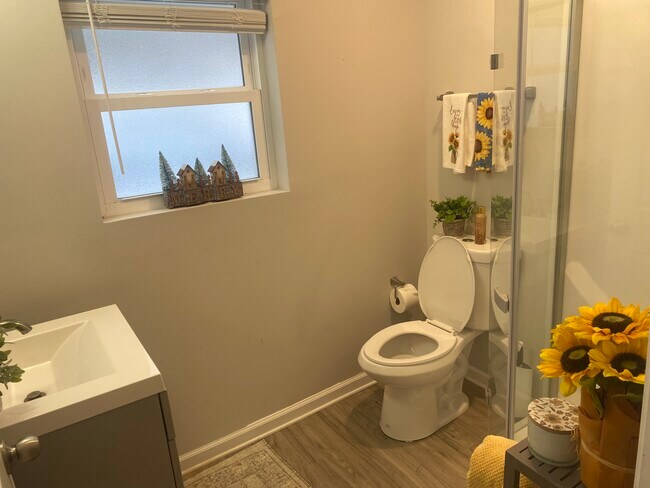Baño completo en la planta baja - 121 Howard St