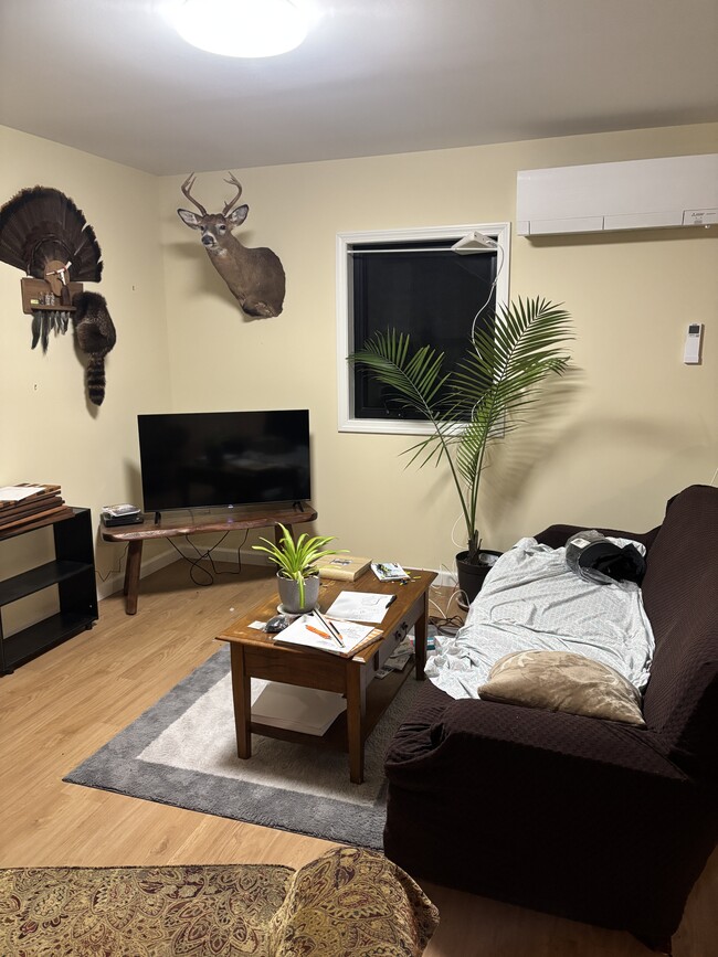 Building Photo - 1177 Main St