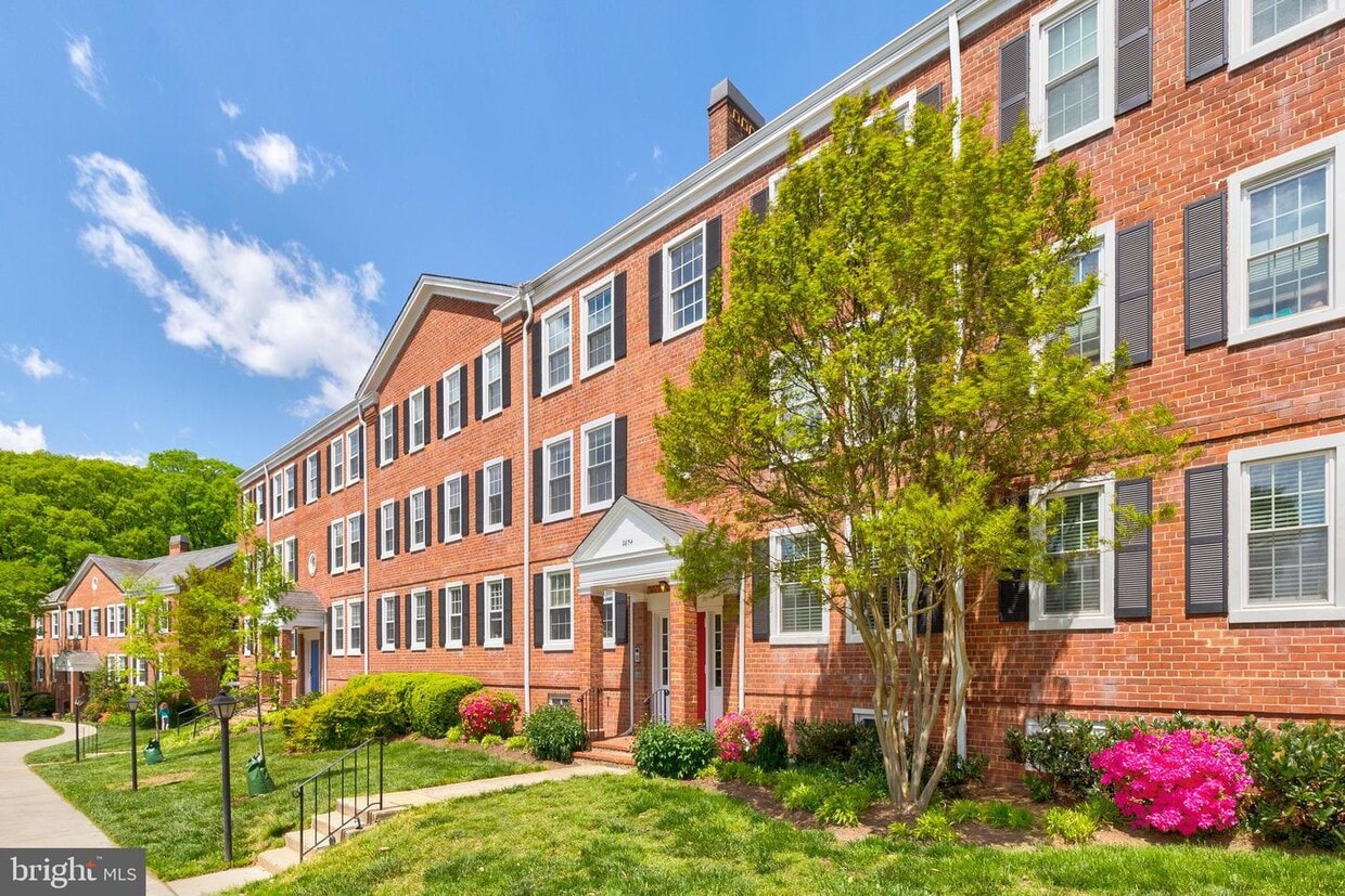2854 S Buchanan St Unit B1, Arlington, VA 22206 Room for Rent in