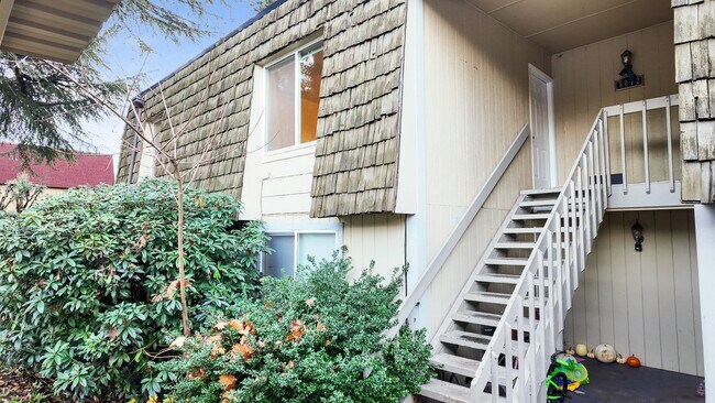 Foto del edificio - Spacious Apartment in Cozy Tacoma Neighborhood