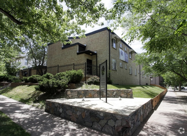 Courtyard on Vine - Corner - Courtyard on Vine