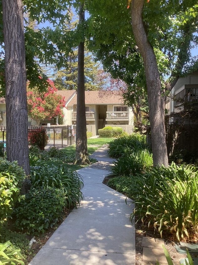 Primary Photo - Tasteful Single Story Condo 1bd/1ba - Grea...
