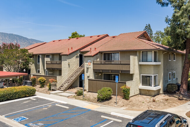 Building Photo - Citrus Place
