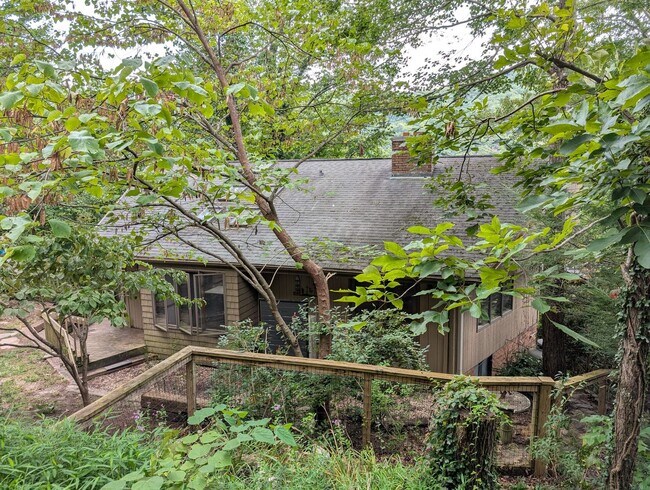 Foto del edificio - Montreat Rental