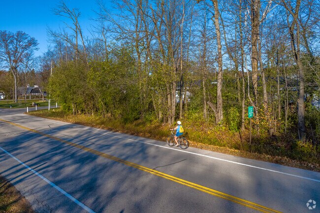 A calm Fox Point roadway winds past tall woods often seen on local cycling routes.
